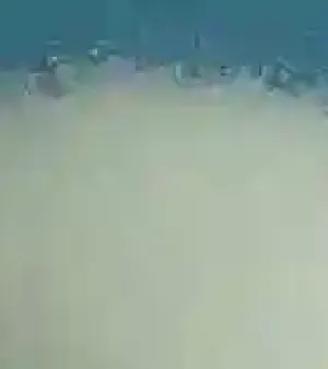 L-triiodothyronine(t3)