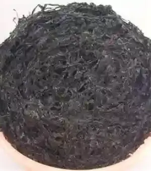 Seaweed & Laver & Nori