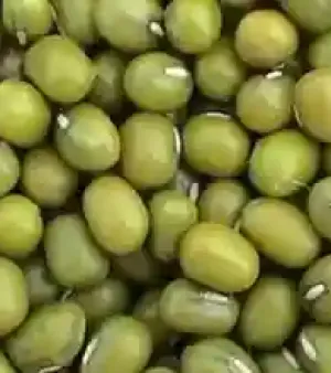 Green Mung Beans By Aborex Group
