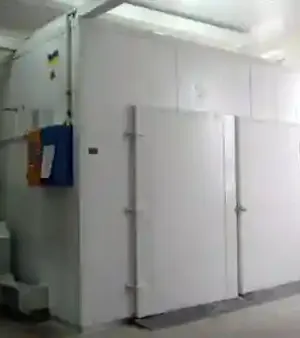 Cabinet-type Drying Chamber 750 Kg Per Load