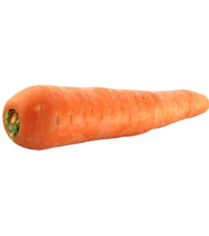 Fresh Carrot, packing: as per the buyer