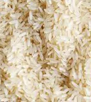 Mota(common) parboild rice 