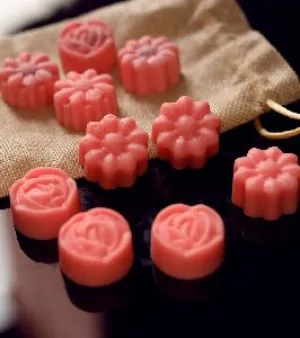 Camphor Soy Wax Melts