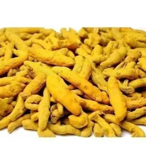 Turmeric Finger, Color : as image
