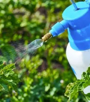 Organic Pesticides, Grade : Superior, Form : Liquid