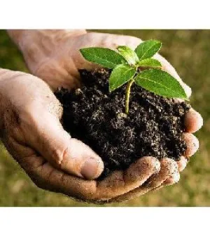 Organic Bio Fertilizer, for Agriculture, Soil Application, Purity : 100%