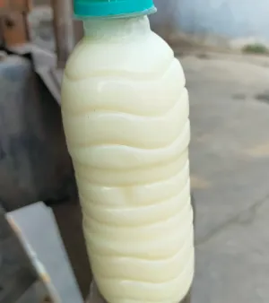 White tallow and tallow oil too