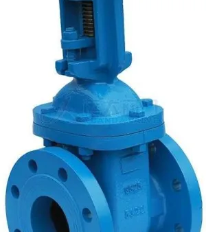 Bonnet Gate Valve