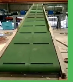 Belt Conveyor, Application : Packaging