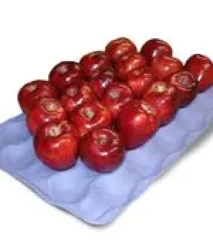 Paper Material Apple Tray, Application : Fruit Packaging