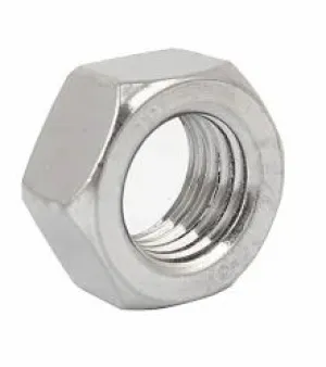 Stainless Steel Hex Nut