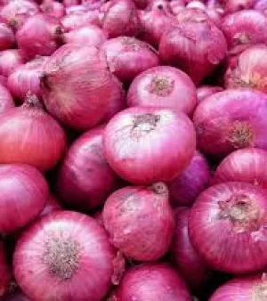 Fresh Onion