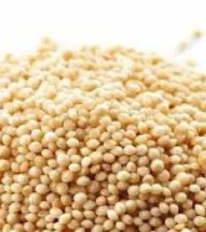  Amaranath seeds