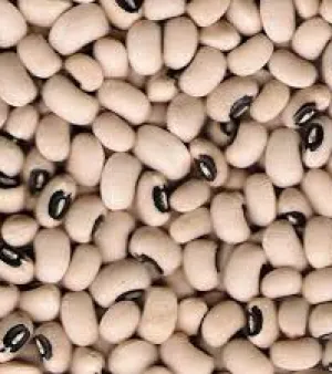 Chawli Beans