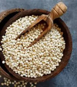 Jowar Seeds