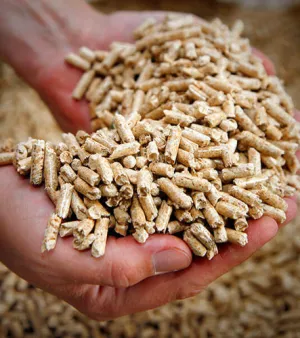 Wooden Pellets