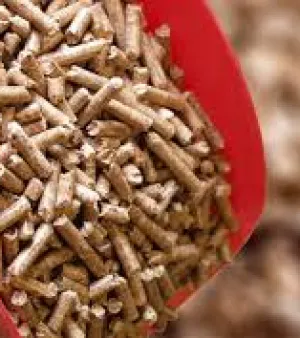 Biomass Pellete