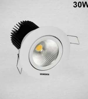 LED COB Light