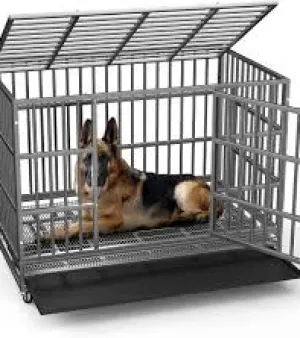 Dog Cage