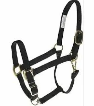 Horse Halters