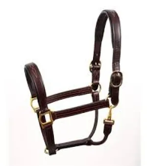 Leather Halters