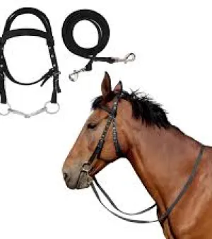 Horse Reins