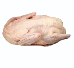 Duck Meat