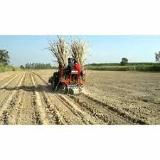 Sugarcane cutter planter