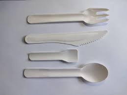 Bagasse Disposable spoon fork knife