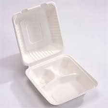 Bagasse Disposable Clamshell