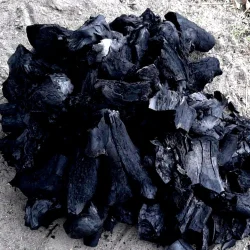 Acacia babool wood coal