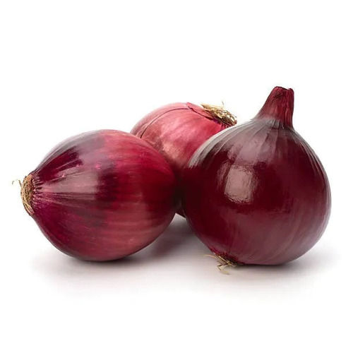  Onion