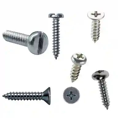 White Self Tapping Screws