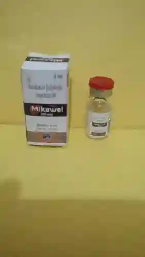 Liquid Amkacin Sulphate Injection Ip
