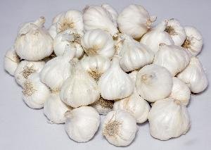 Fresh garlic