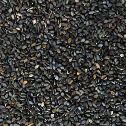 oil seeds