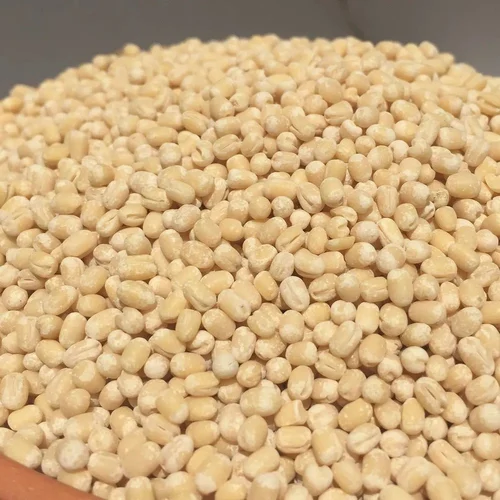 lentil beans